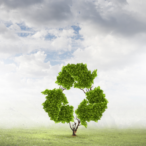 Colorful Shuttlecock Image Badminton Club Logo (6)